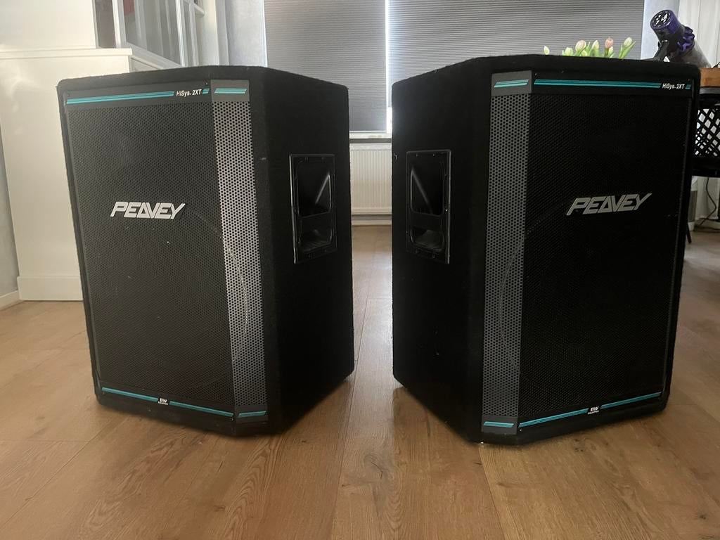 Set Speakers peavy XT Serie, Ophalen, Zo goed als nieuw, 500 tot 1000 watt