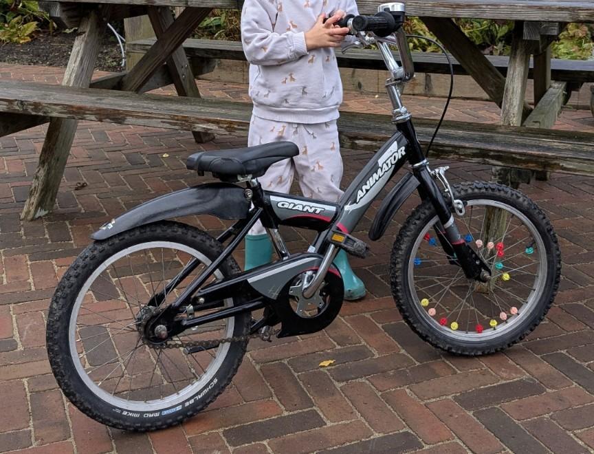 Giant Animator kinder crossfiets - 16 inch, Fietsen en Brommers, Fietsen | Jongens, Ophalen, Gebruikt, Terugtraprem, Giant