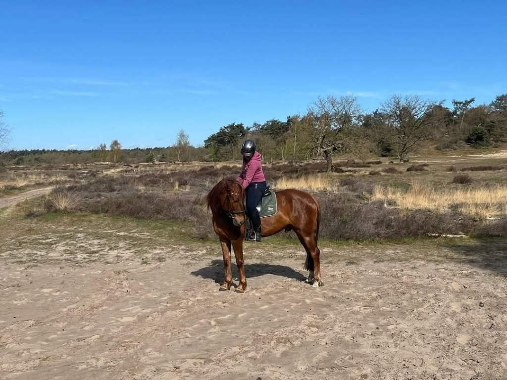 Verzorgster en bijrijdster aangeboden, Ophalen