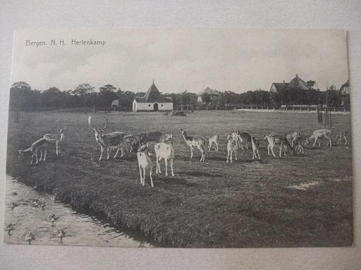 P248 Bergen NH - Hertenkamp, Verzenden, 1920 tot 1940, Ongelopen, Noord-Holland