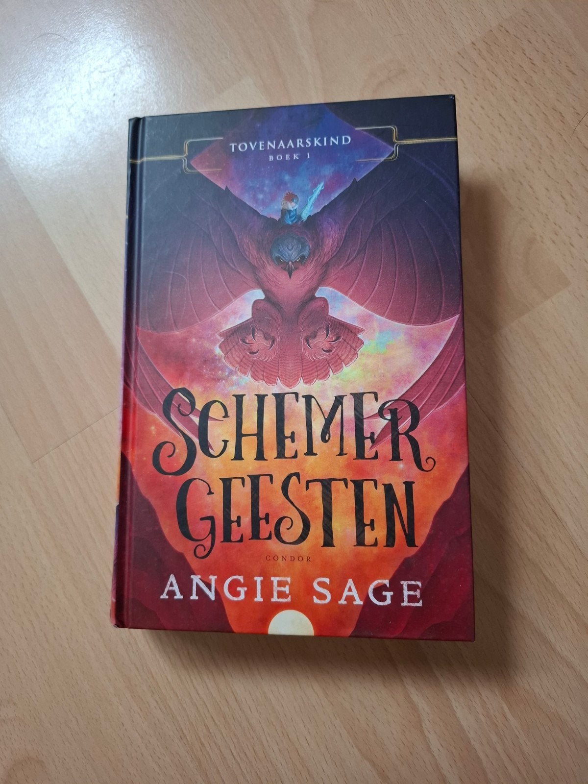 Angie Sage Schermer geesten, Boeken, Ophalen of Verzenden