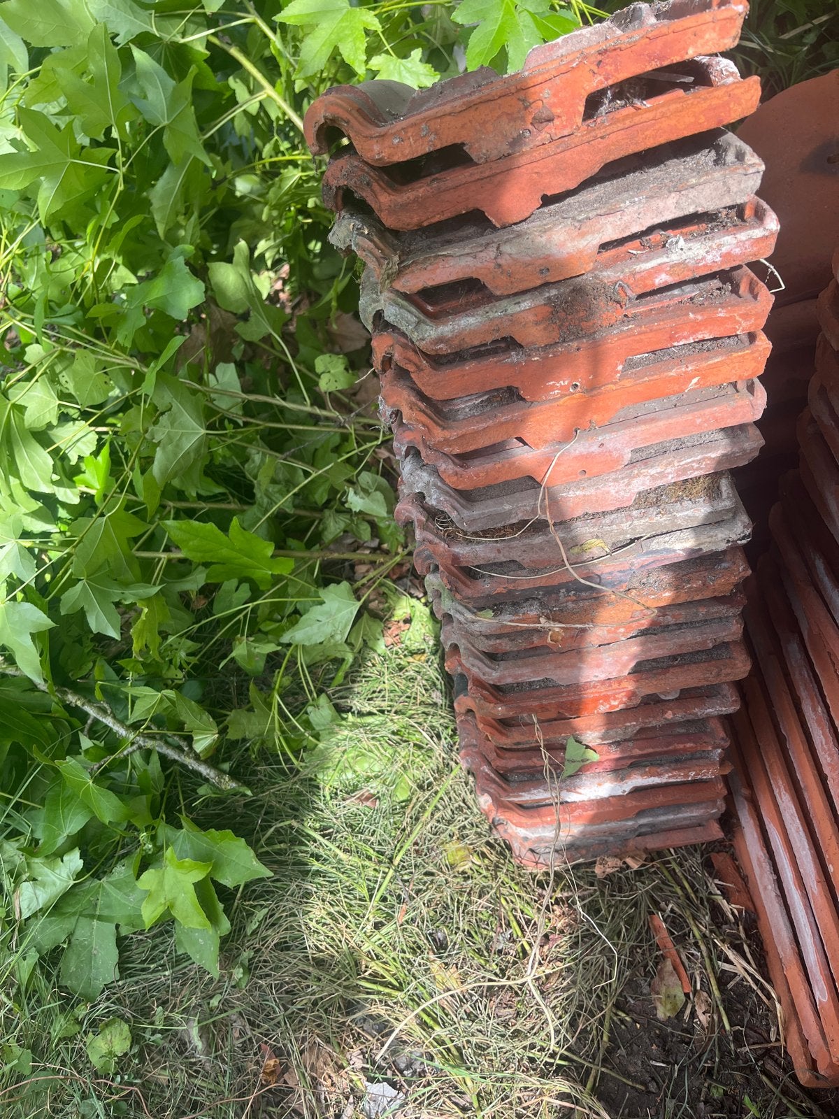 Gebruikte dakpannen, rood, voor diverse projecten, Ophalen, Gebruikt, Steen of Klei, Minder dan 5 m²