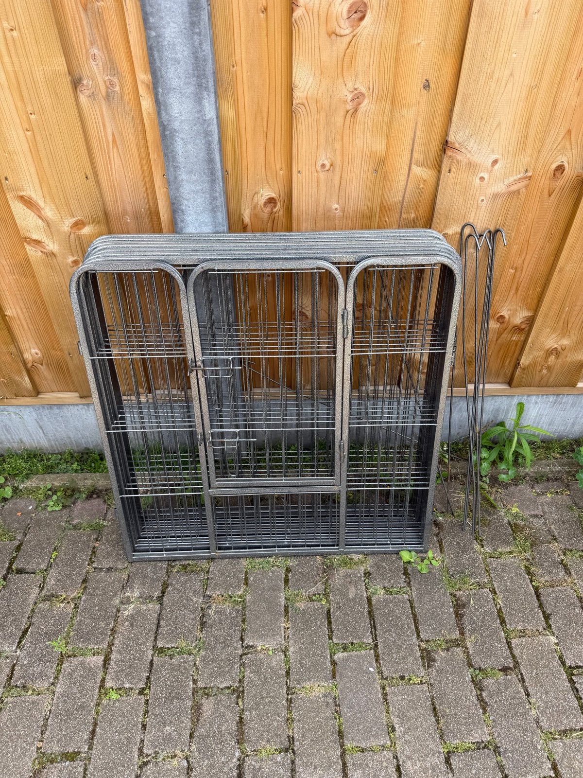 Puppy ren, Dieren en Toebehoren, Ophalen