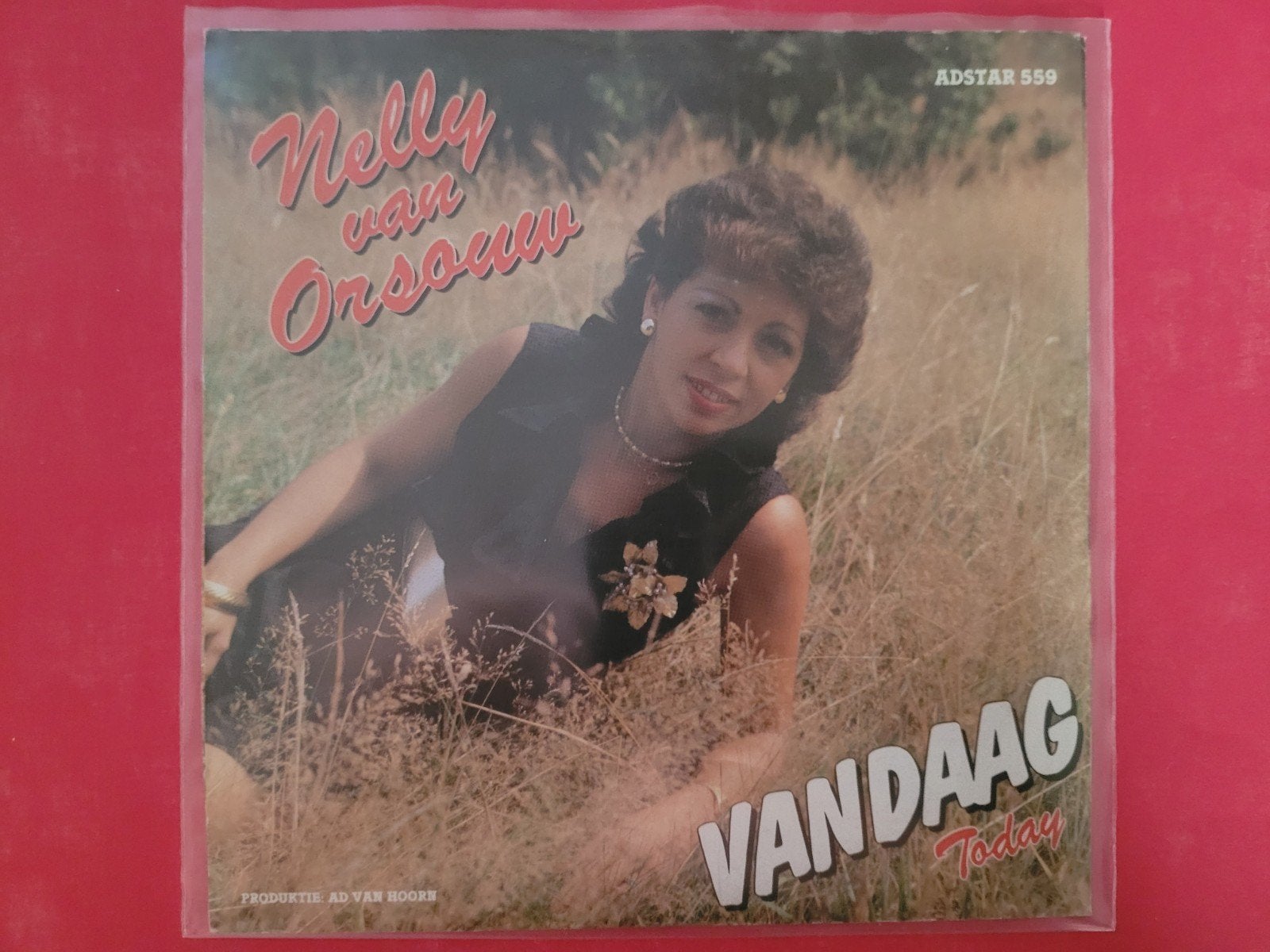 Nelly van Orsouw - Vandaag  - Today., Ophalen, Zo goed als nieuw, Overige formaten, Levenslied of Smartlap
