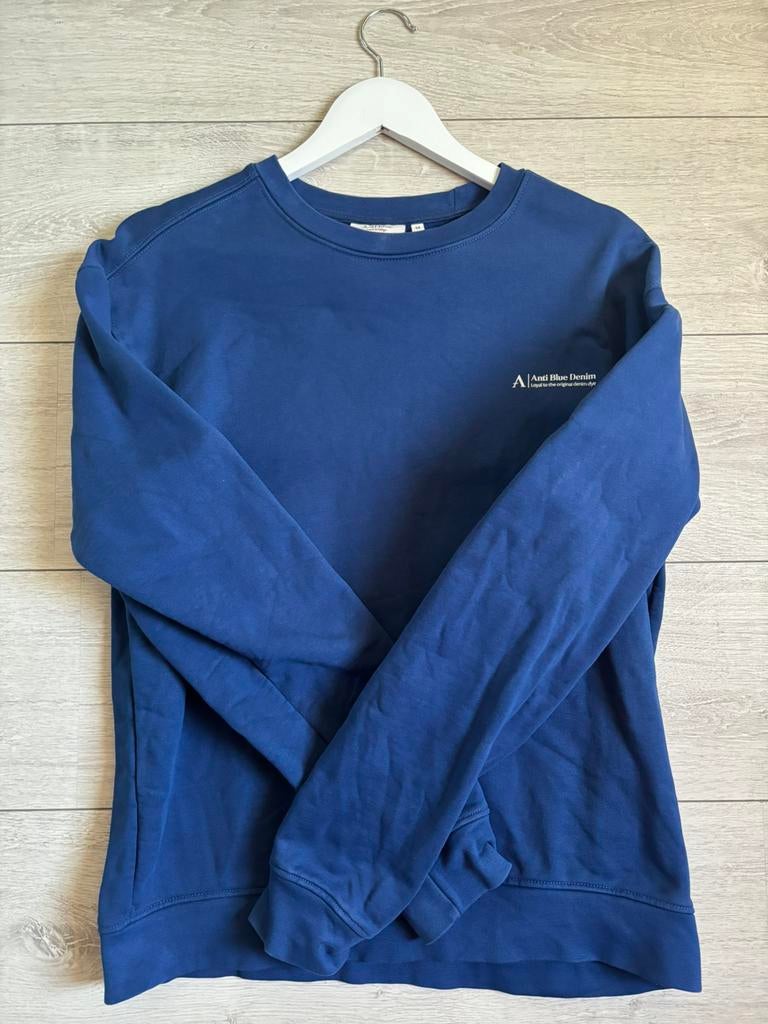 Anti Blue sweater, Kleding | Heren, Truien en Vesten, Ophalen of Verzenden, Zo goed als nieuw