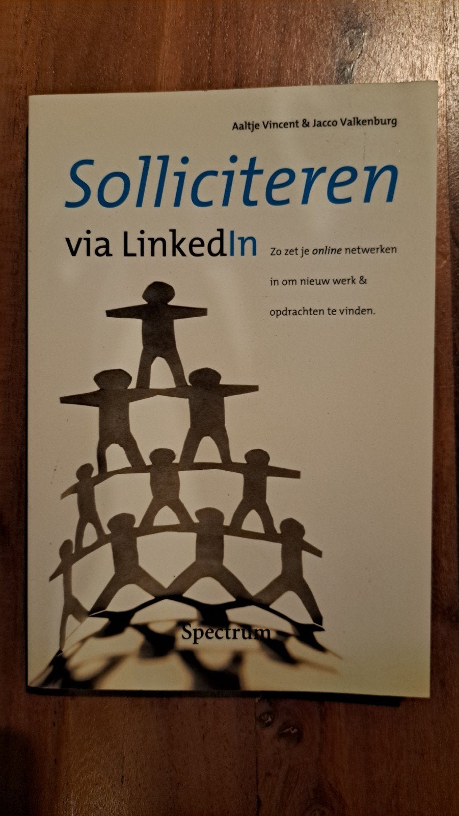 Solliciteren via LinkedIn - Aaltje Vincent & J Valkenburg, Gelezen, Ophalen of Verzenden, Aaltje Vincent & Jacco Valkenburg, Gamma