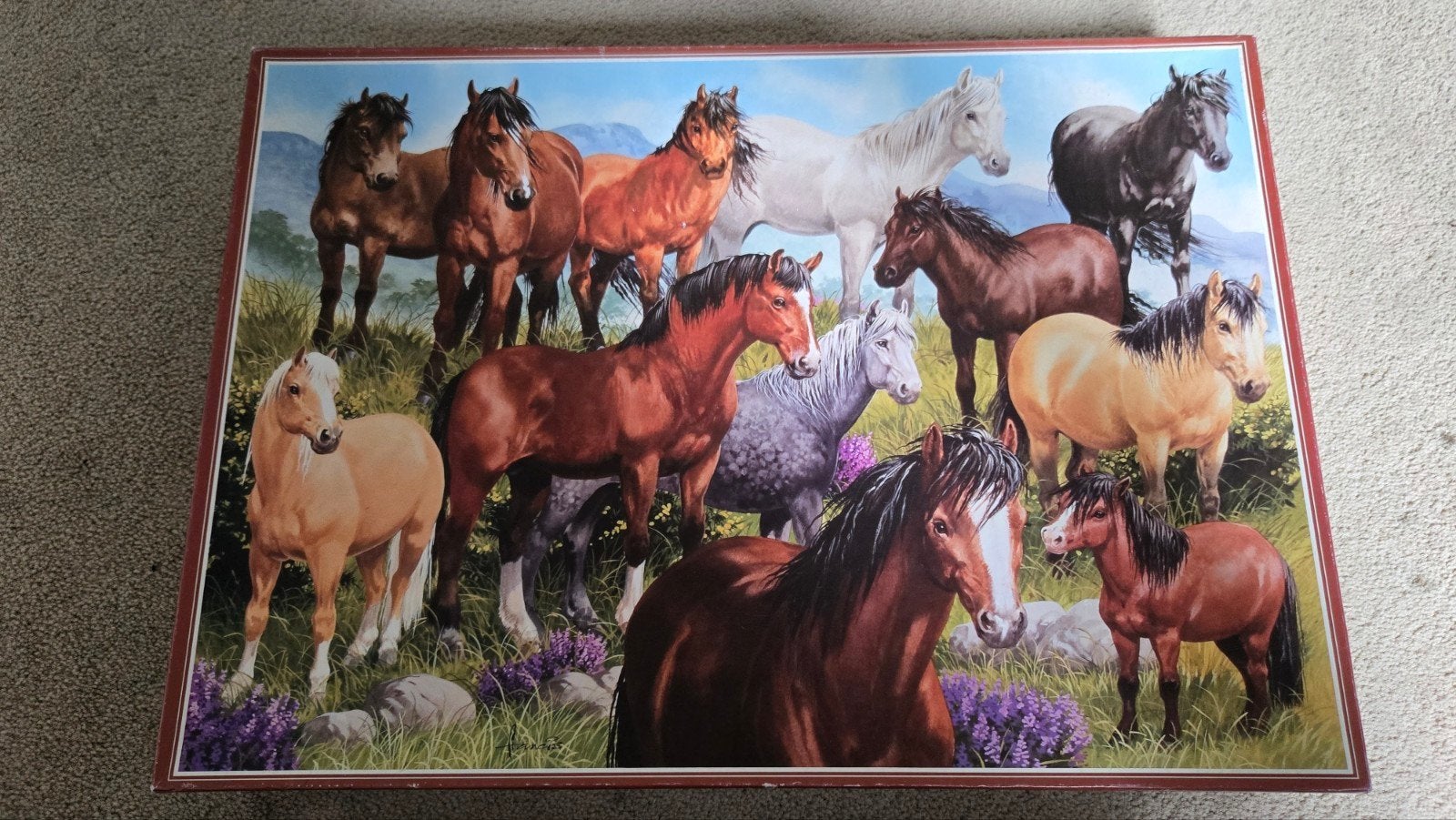 Puzzel 1000 stukjes- wilde paarden, Ophalen of Verzenden, 500 t/m 1500 stukjes, Zo goed als nieuw