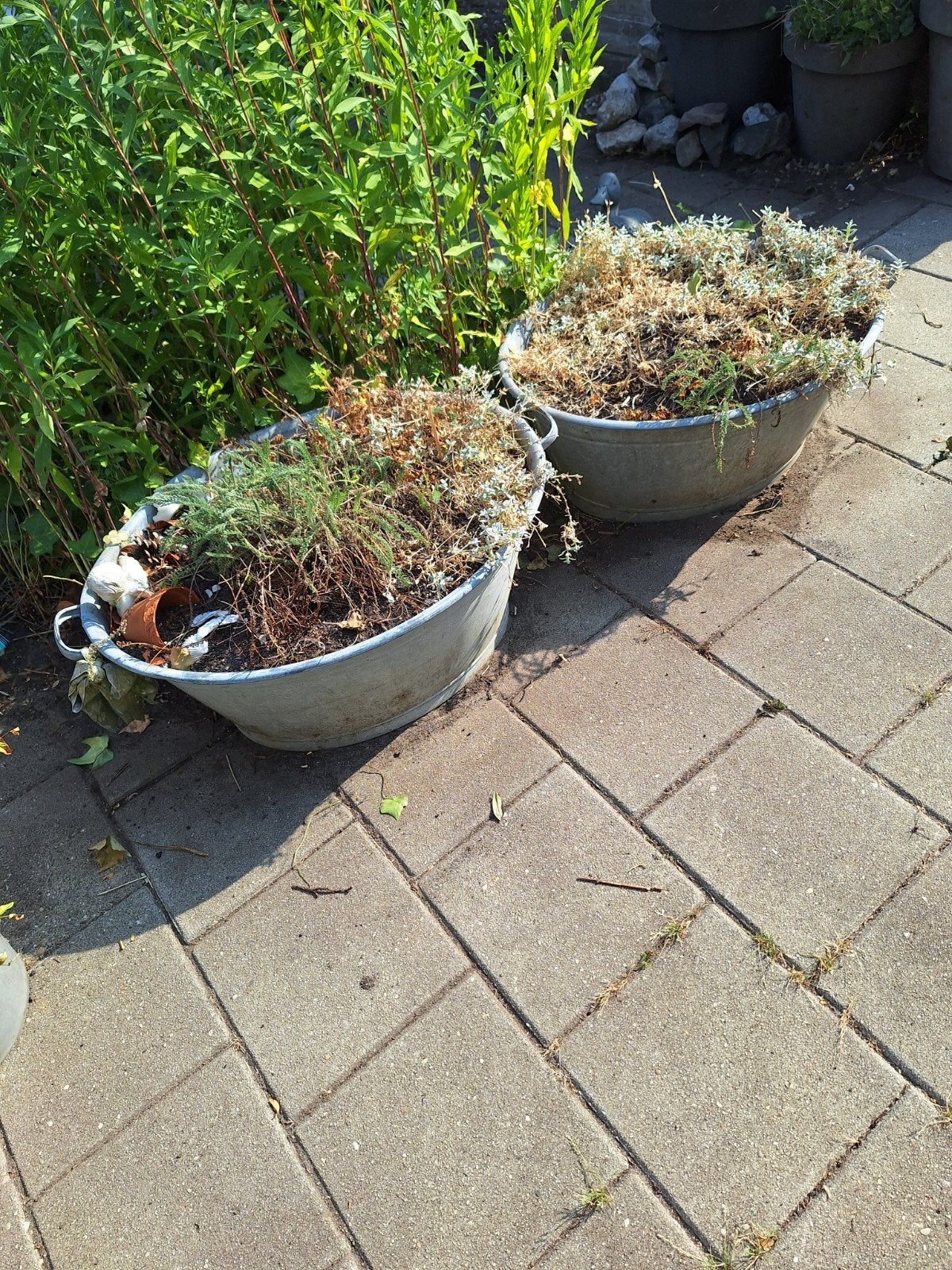 2 zinken teilen vol met potgrond en bloembollen.Ook leeg te, Ophalen, Rond, Metaal, Minder dan 30 cm
