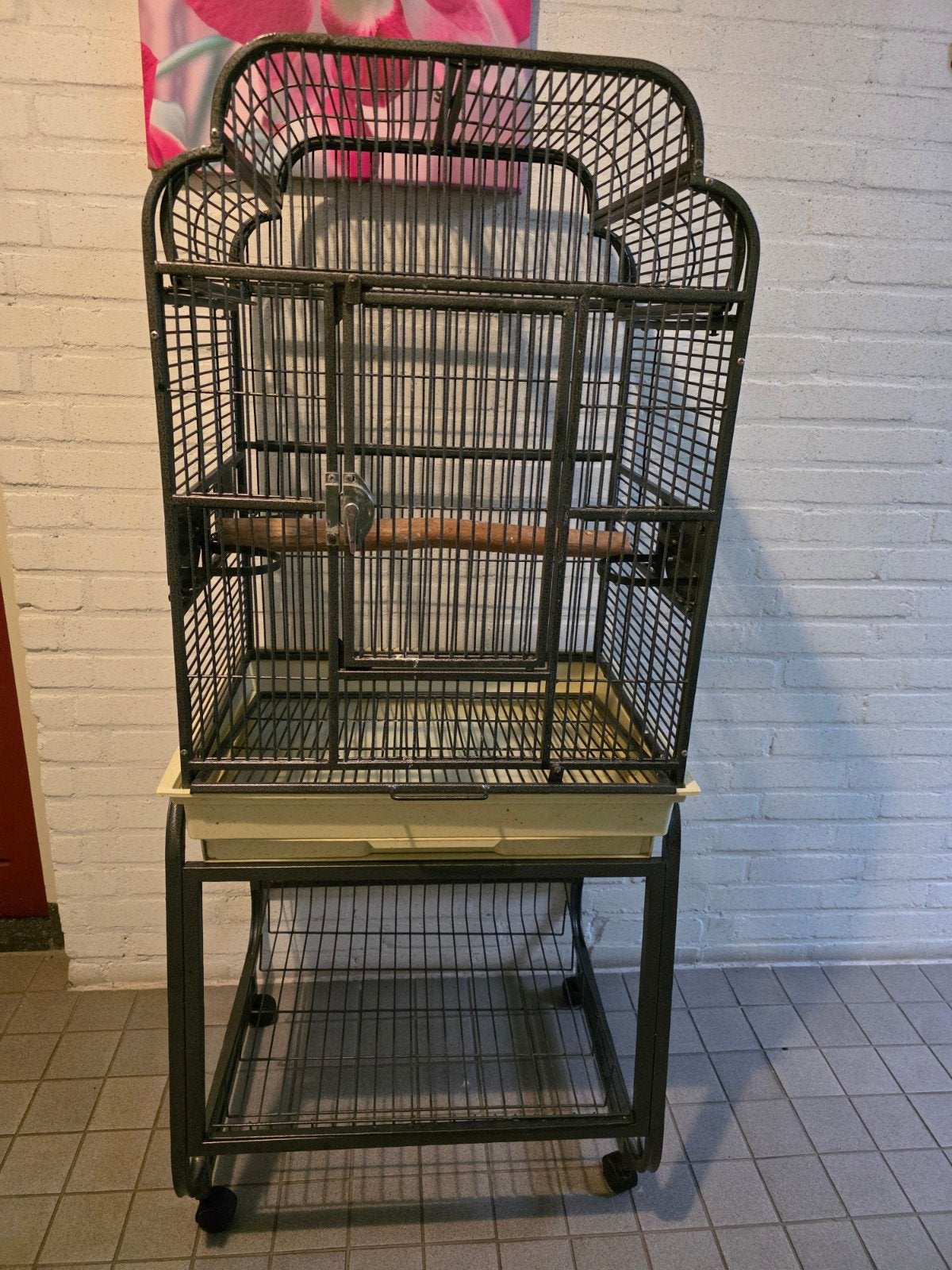 vogel/papagaaienkooi, Dieren en Toebehoren, Ophalen, Metaal, Vogelkooi
