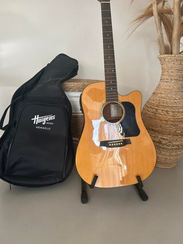 Walden standart gitaar, Ophalen, Zo goed als nieuw, Klassieke of Spaanse gitaar