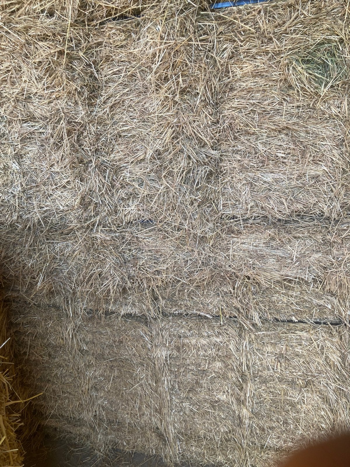 Kleine pakjes hooi gebundeld in 1 pak van 21 pakjes, Dieren en Toebehoren, Dierenvoeding, Verzenden, Vee