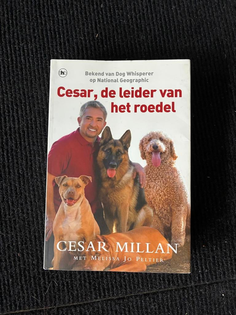 Cesar Millan: De Leider van het Roedel - Train je hond!, Boeken, Ophalen of Verzenden, Gelezen, Honden
