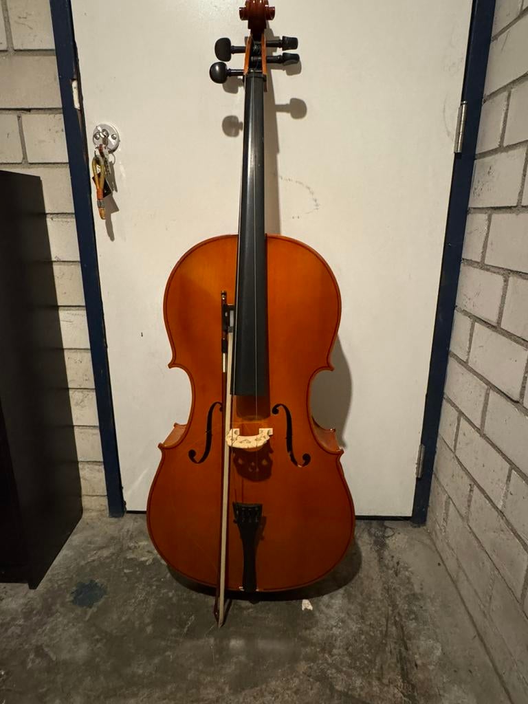 Cello (strings to be replaced), Ophalen, Gebruikt, Met koffer