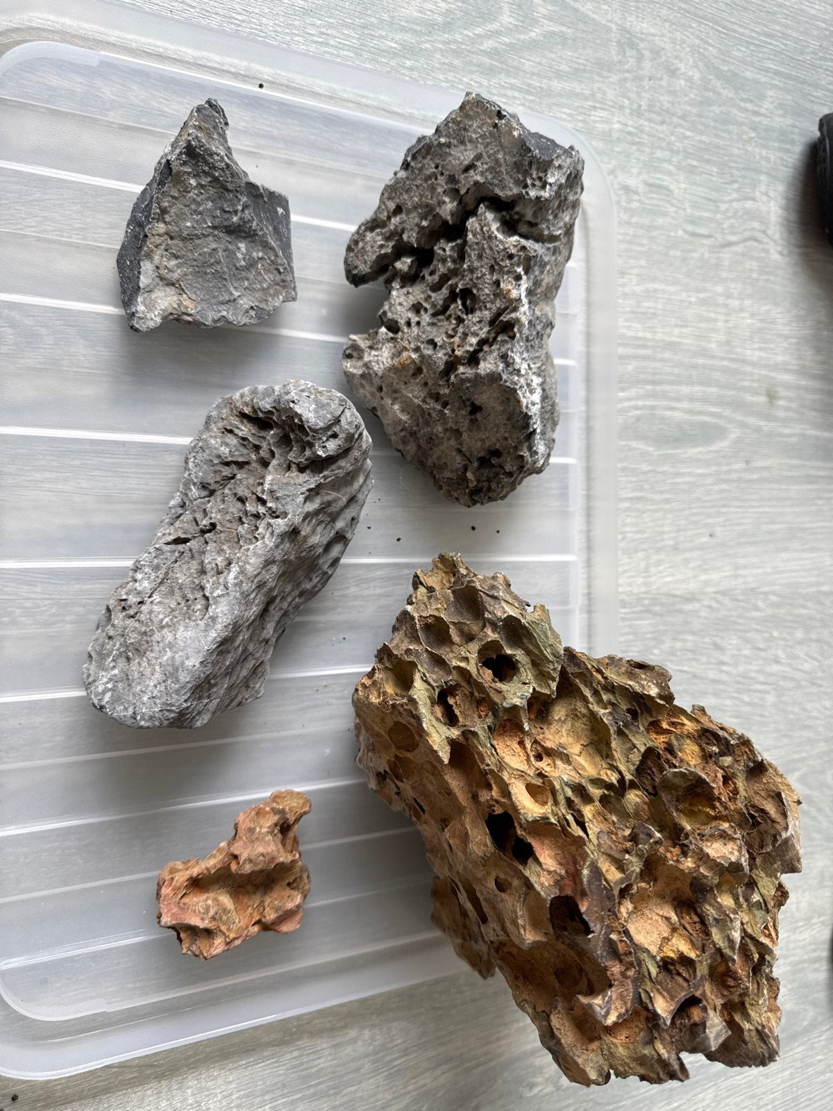 Aquarium stenen, Ophalen, Zo goed als nieuw, Plant(en), Steen of Hout