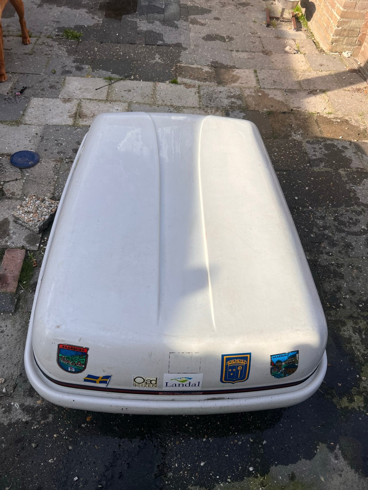 Dakkoffer voor Ford Focus, Ophalen, Gebruikt