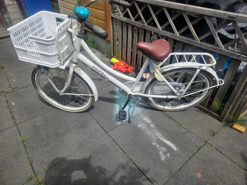 Popal  meisjes fiets, Ophalen of Verzenden, Gebruikt, 20 inch