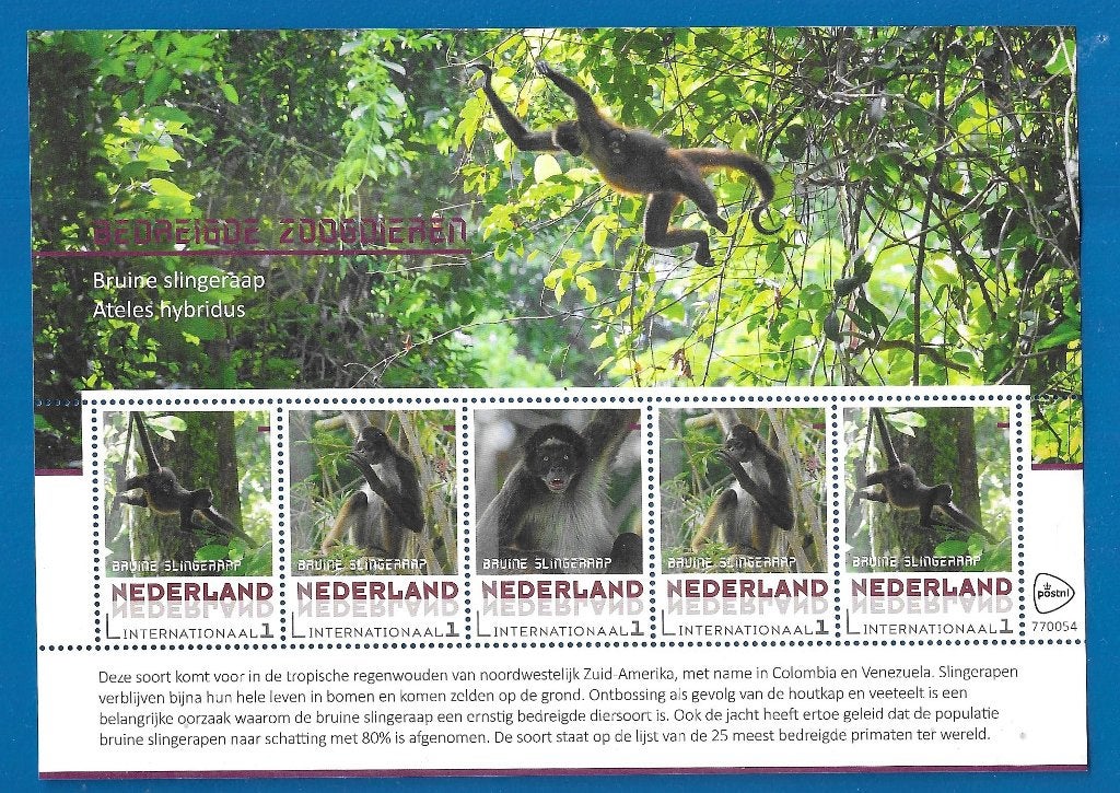 NVPH V3197 P-7 Bedreigde Zoogdieren - Bruine Slingeraap, Verzenden, Na 1940, Postfris