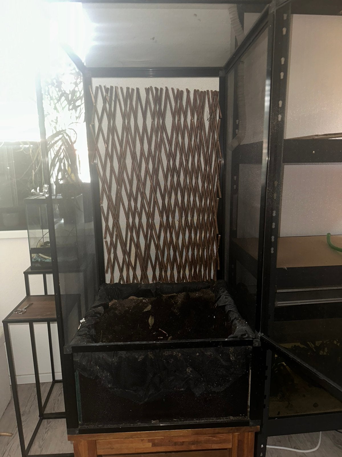 Gaas terrarium 50x50x100, 0 tot 2 jaar