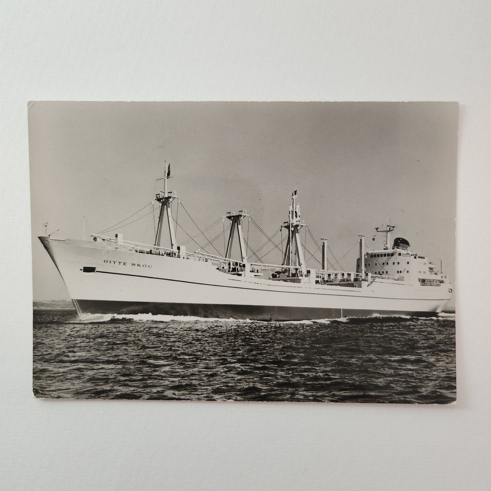 Originele foto M/S Ditte Skou - A.P. Møller Maersk, Verzamelen, Verzenden, 1960 tot 1980, Ongelopen, Voertuig