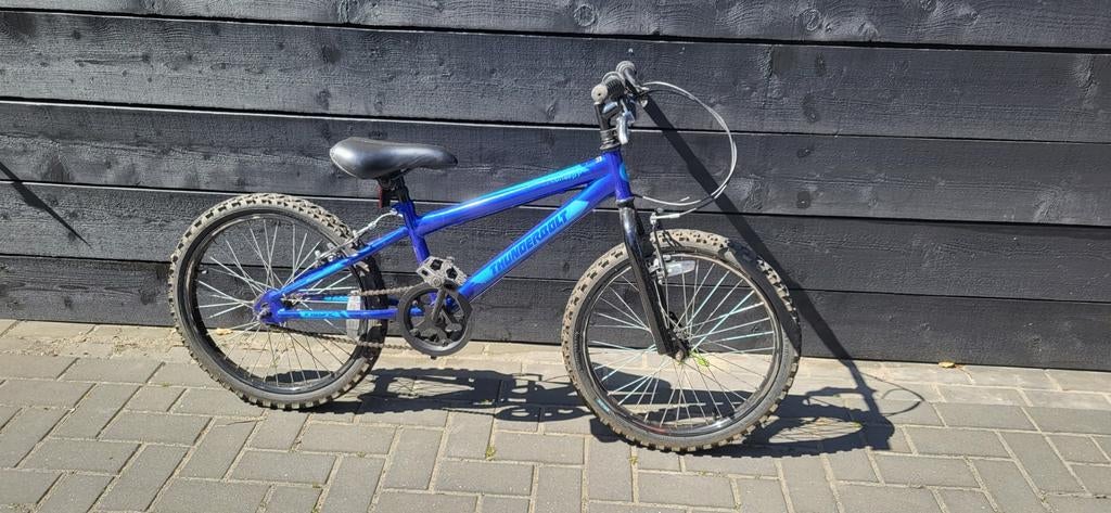 Stoere jongens stuntfiets blauw 20 inch. BMX bike fiets, Ophalen, Aanhangfiets
