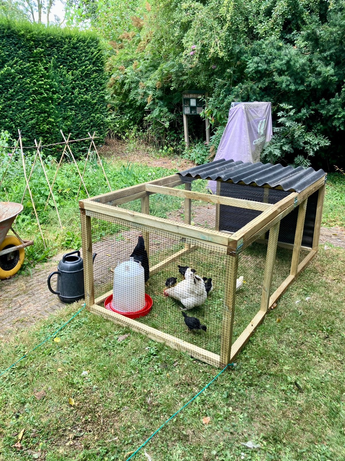 Mobiel kippenhok - 210 x 105 x 80, Ophalen, Zo goed als nieuw, Kippenhok of Kippenren