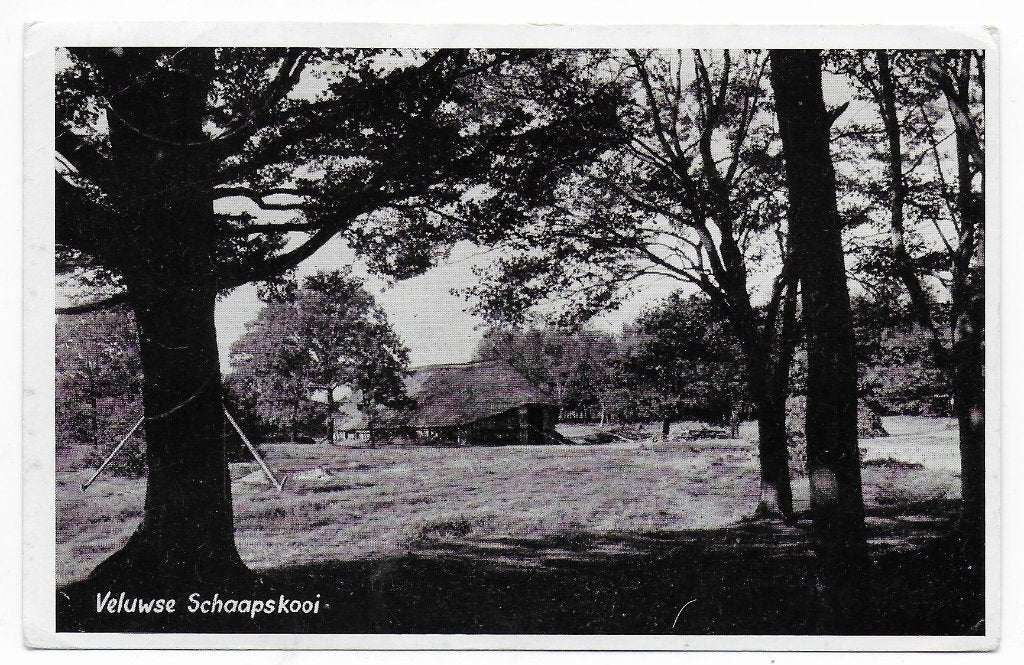 Veluwse Schaapskooi - oude gelopen ansichtkaart ( B7195 ), Ophalen of Verzenden, 1980 tot heden, Gelopen