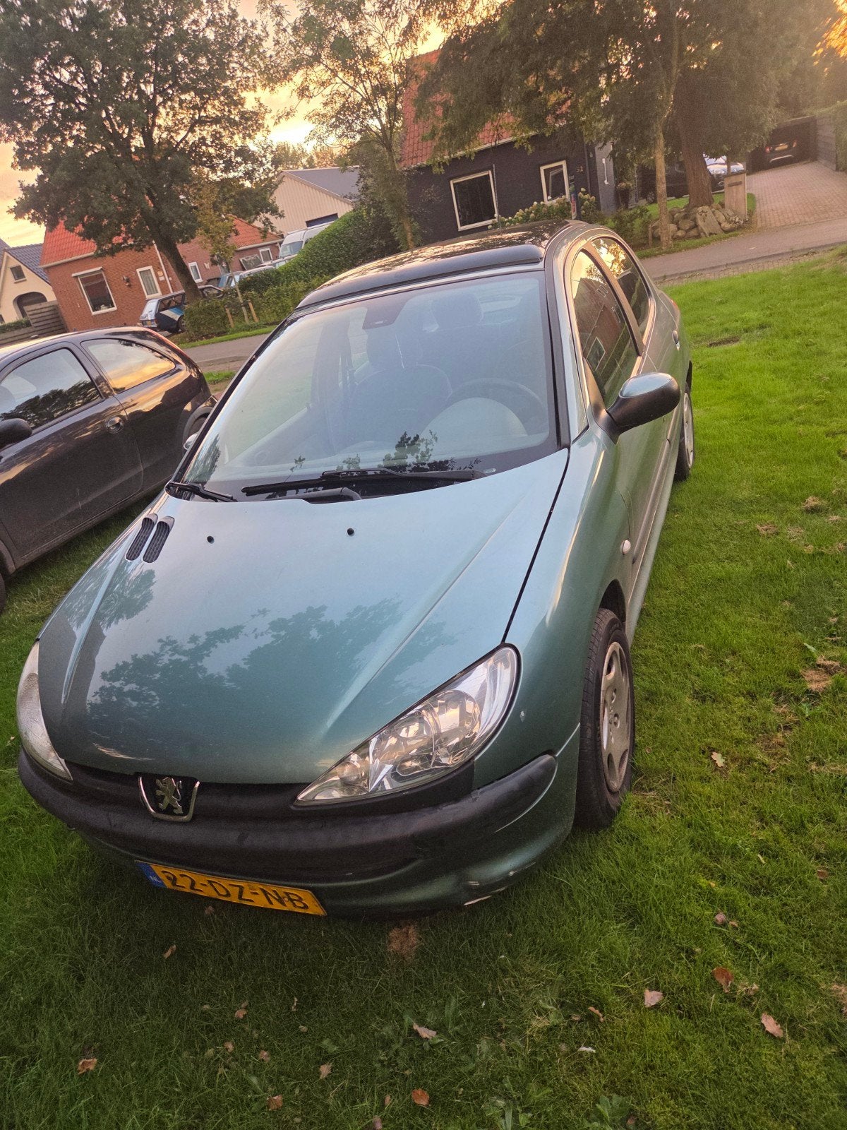 Peugeot 206 1.4 5D 2000 Groen, Voorwielaandrijving, 15 km/l, 31 €/maand, 4 cilinders