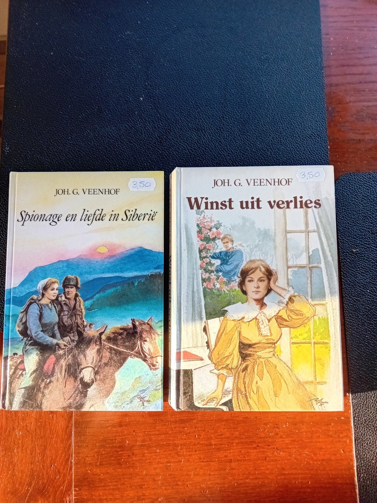 Joh.G.Veenhof. 2 boeken., Ophalen of Verzenden, Gelezen, Noord-Brabant