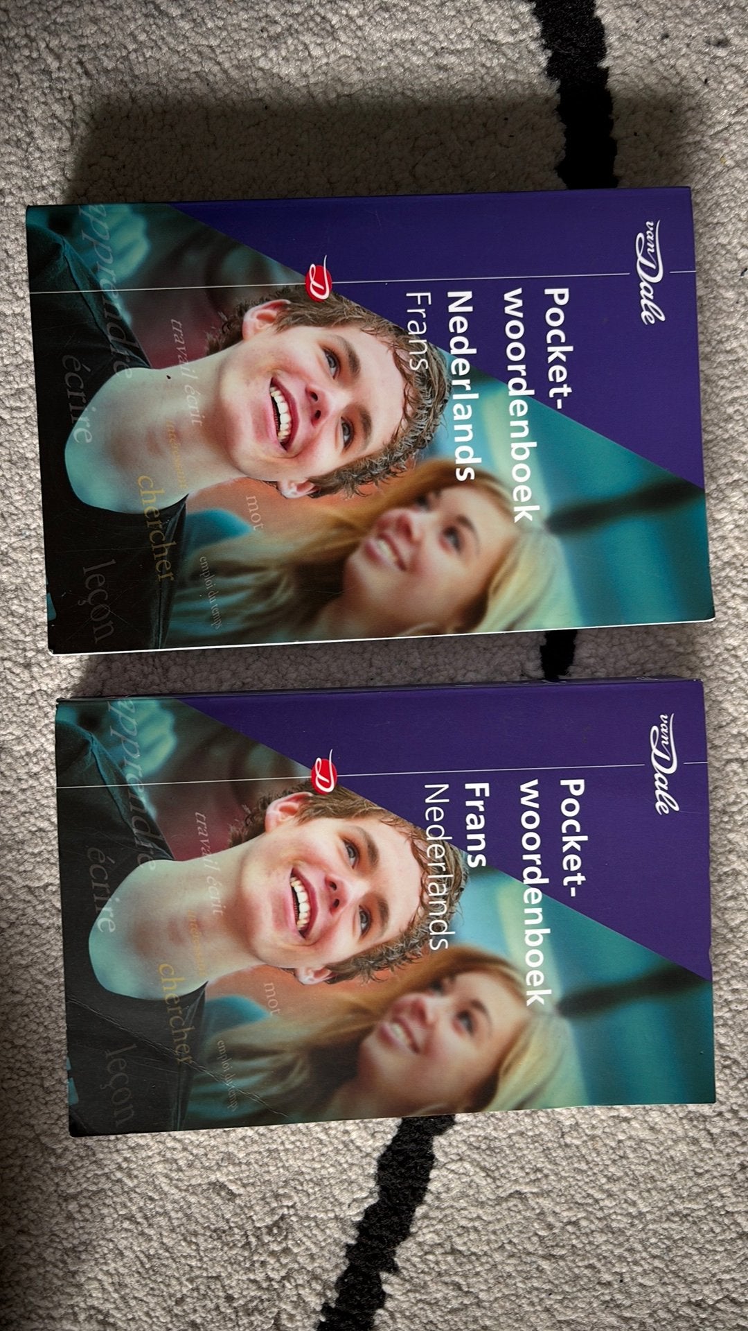 Van Dale Pocketwoordenboek Nederlands-Frans, Boeken, Woordenboeken, Frans, Ophalen of Verzenden, Zo goed als nieuw, Van Dale