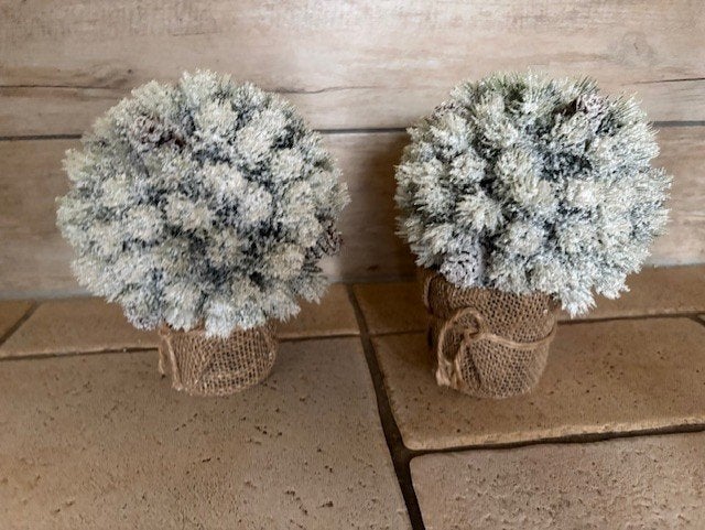 kerst bloemstuk met pot compleet 2 stuks samen, Ophalen of Verzenden, Nieuw