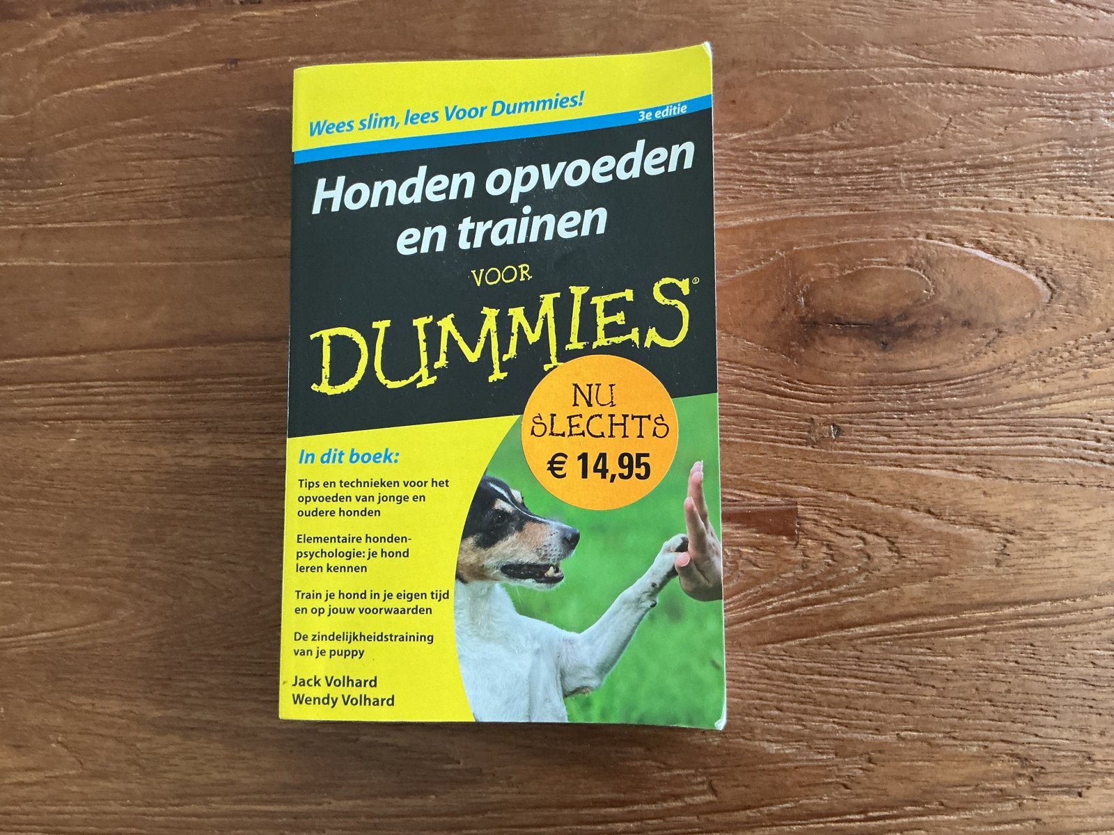 Honden opvoeden en trainen voor Dummies, Boeken, Ophalen of Verzenden, Zo goed als nieuw, Honden
