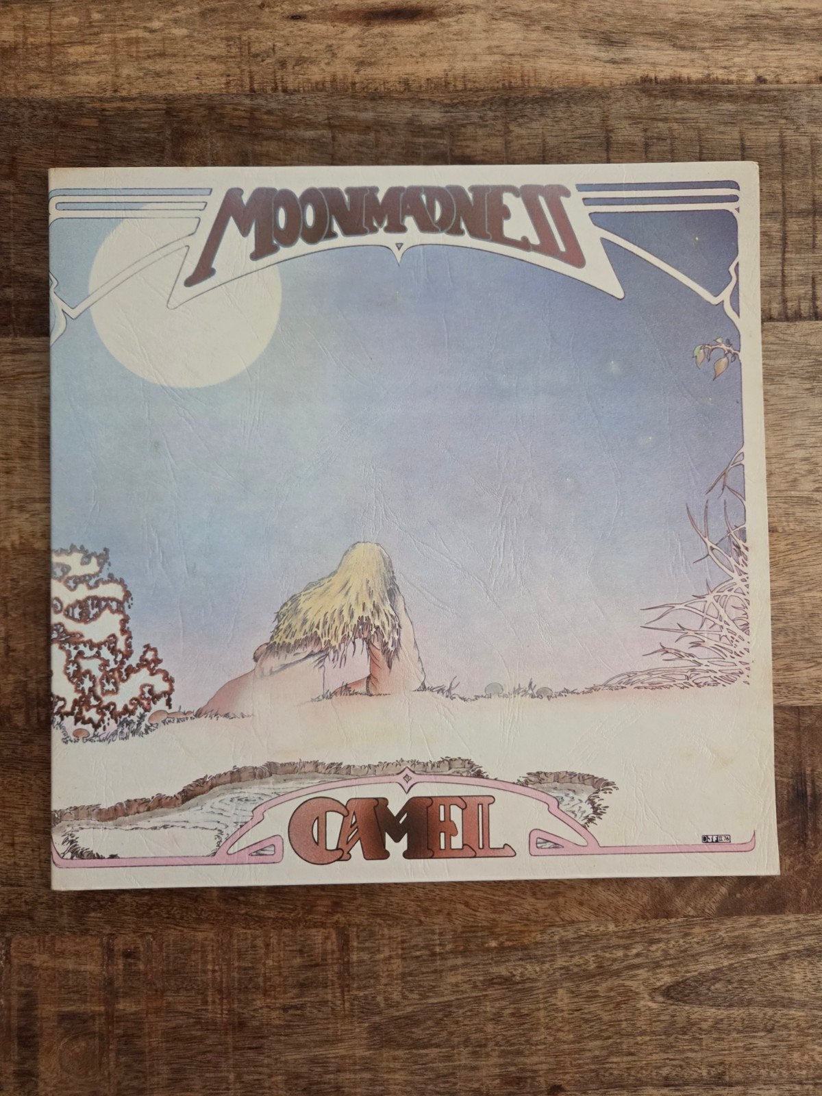 Lp camel moon madness, Ophalen of Verzenden