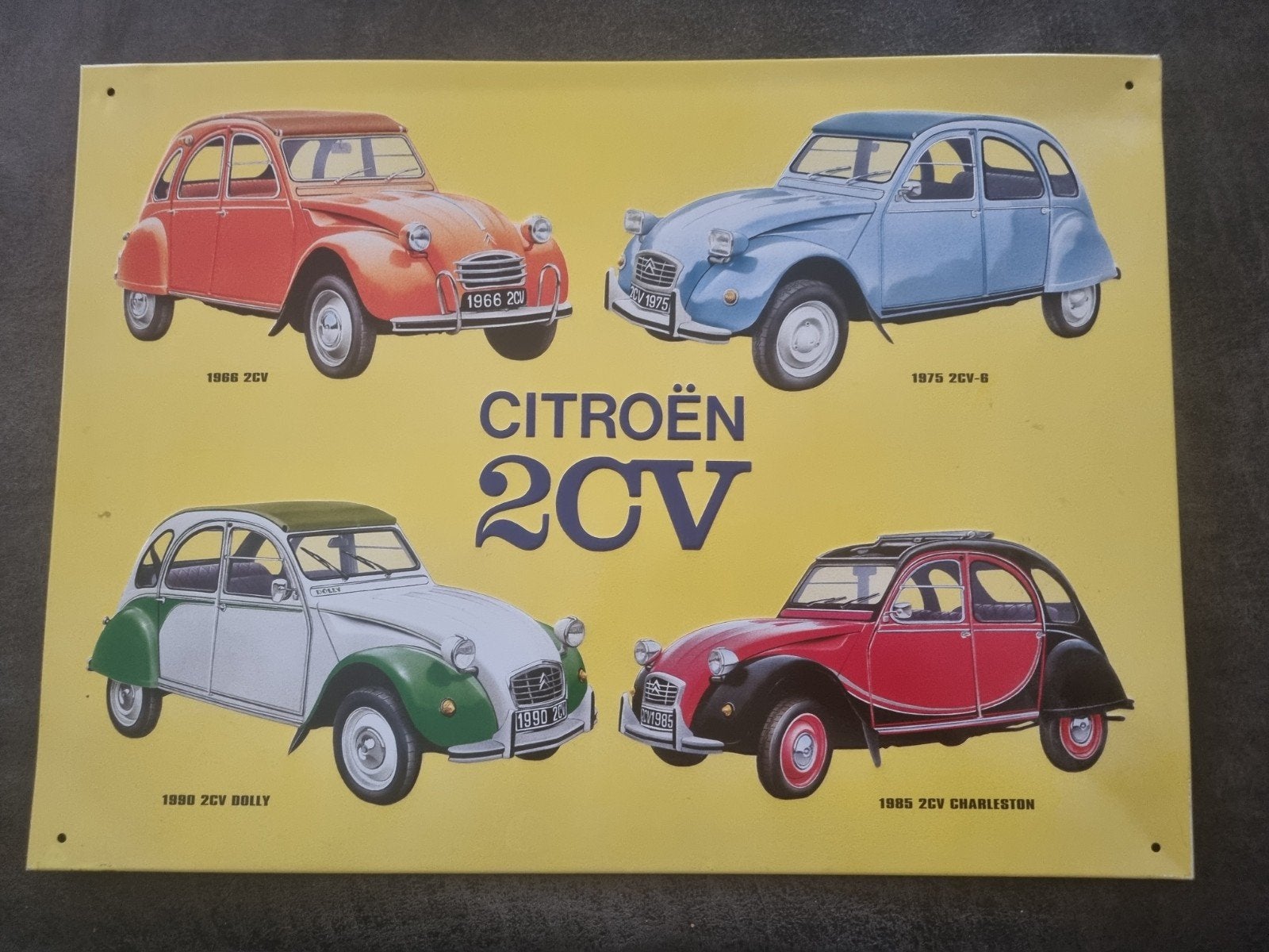 Citroën blikken plaat, Ophalen of Verzenden, Zo goed als nieuw, Auto, Overige merken