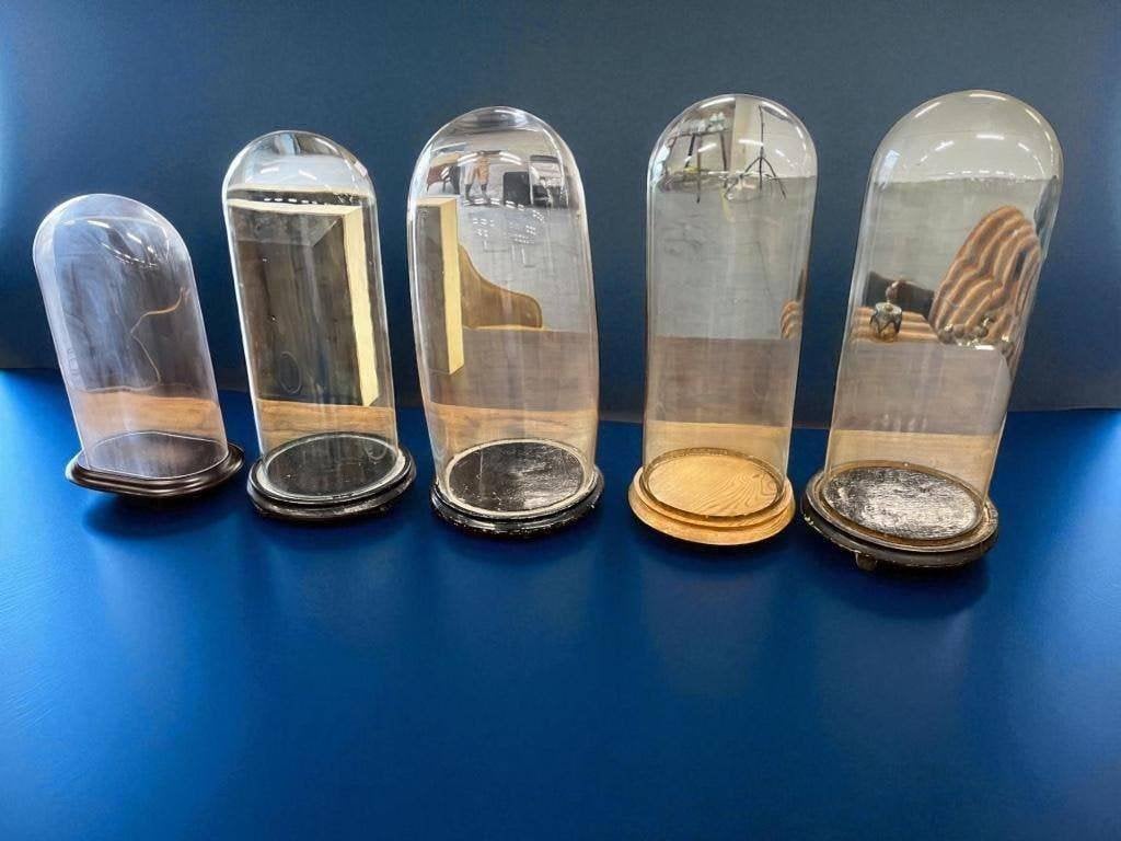 Vintage glazen stolp met houten voet, Huis en Inrichting, Woonaccessoires | Stolpen, Ophalen