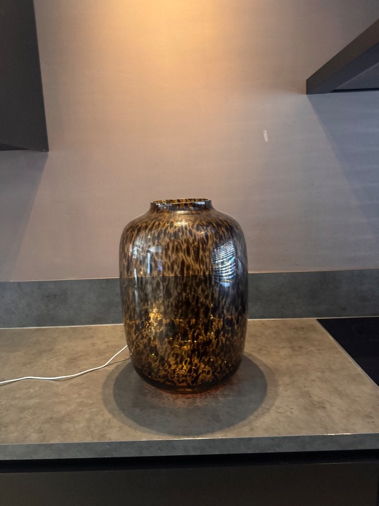 Vaas groot, Huis en Inrichting, Woonaccessoires | Vazen, Ophalen of Verzenden