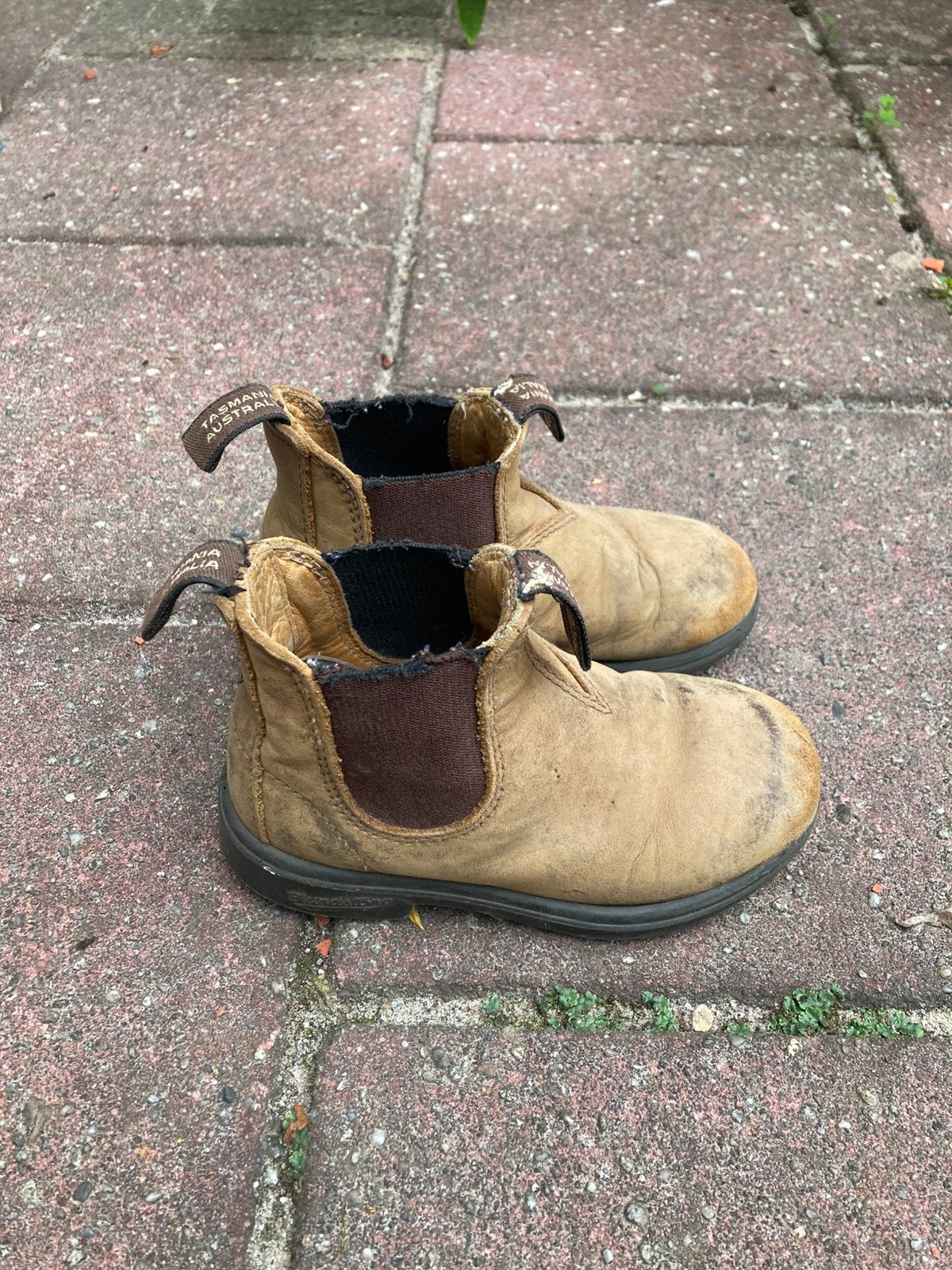 Blundstone schoenen - maat 9, Ophalen of Verzenden, Zo goed als nieuw, Jongetje of Meisje, Schoentjes