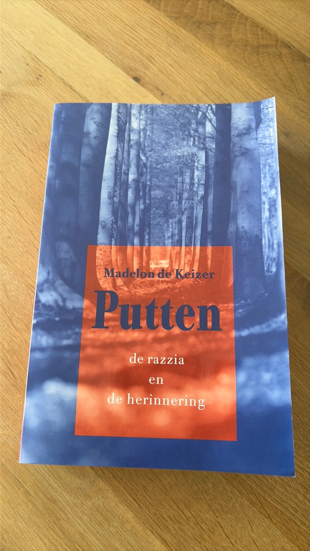 Putten; De Razzia en de herinnering - Madelon de Keizer, Ophalen of Verzenden, Zo goed als nieuw