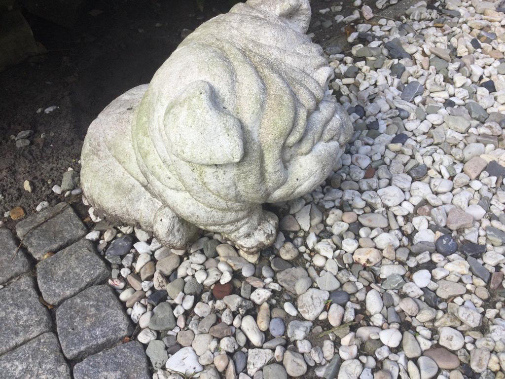 Betonnen hond voor buiten, Tuin en Terras, Tuinbeelden, Ophalen, Zo goed als nieuw, Beton, Dierenbeeld