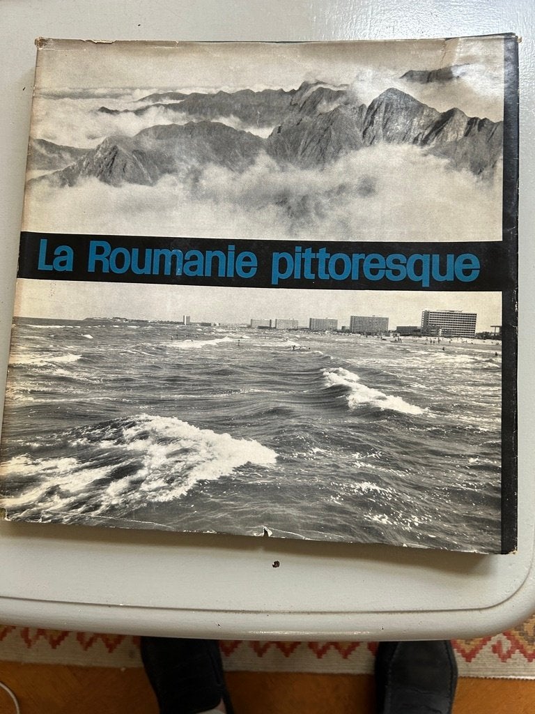 Fraai historisch zwart-wit fotoboek over Roemenie, Boeken, Gelezen, Fotografie algemeen, Ophalen of Verzenden, Ion Petheou