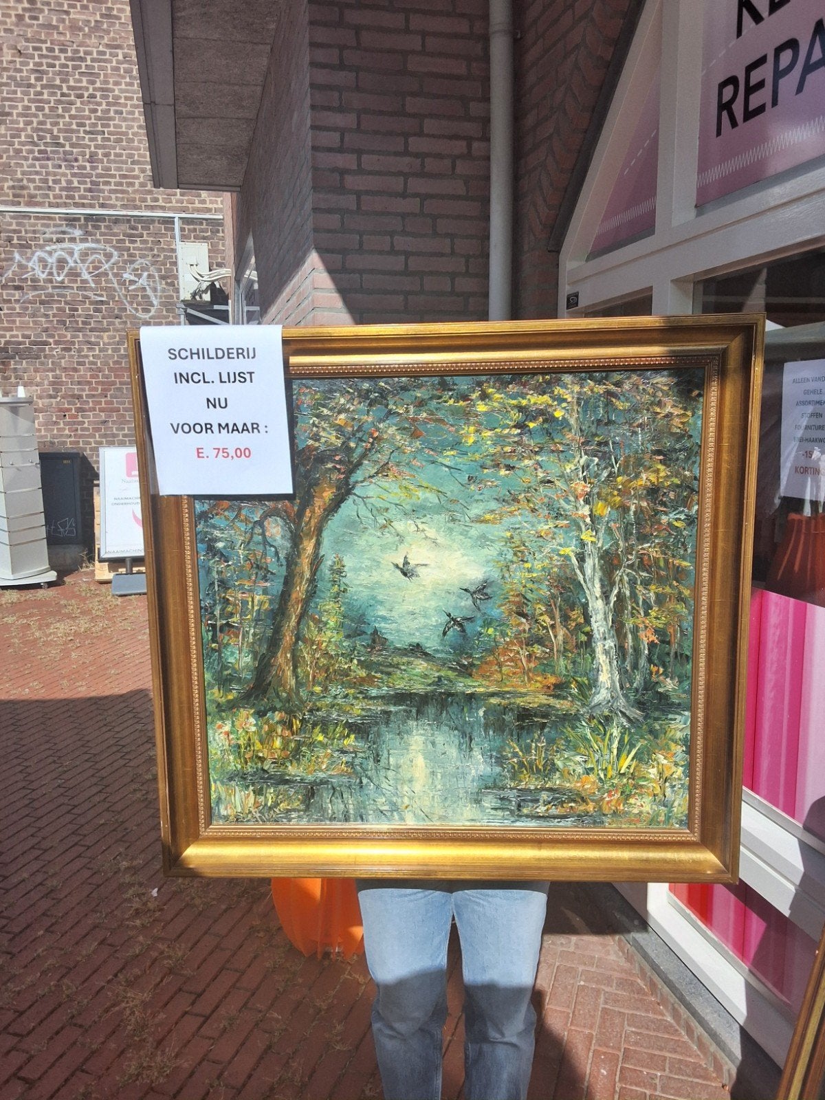 Diverse schilderijen, los te koop - incl. lijst, Ophalen