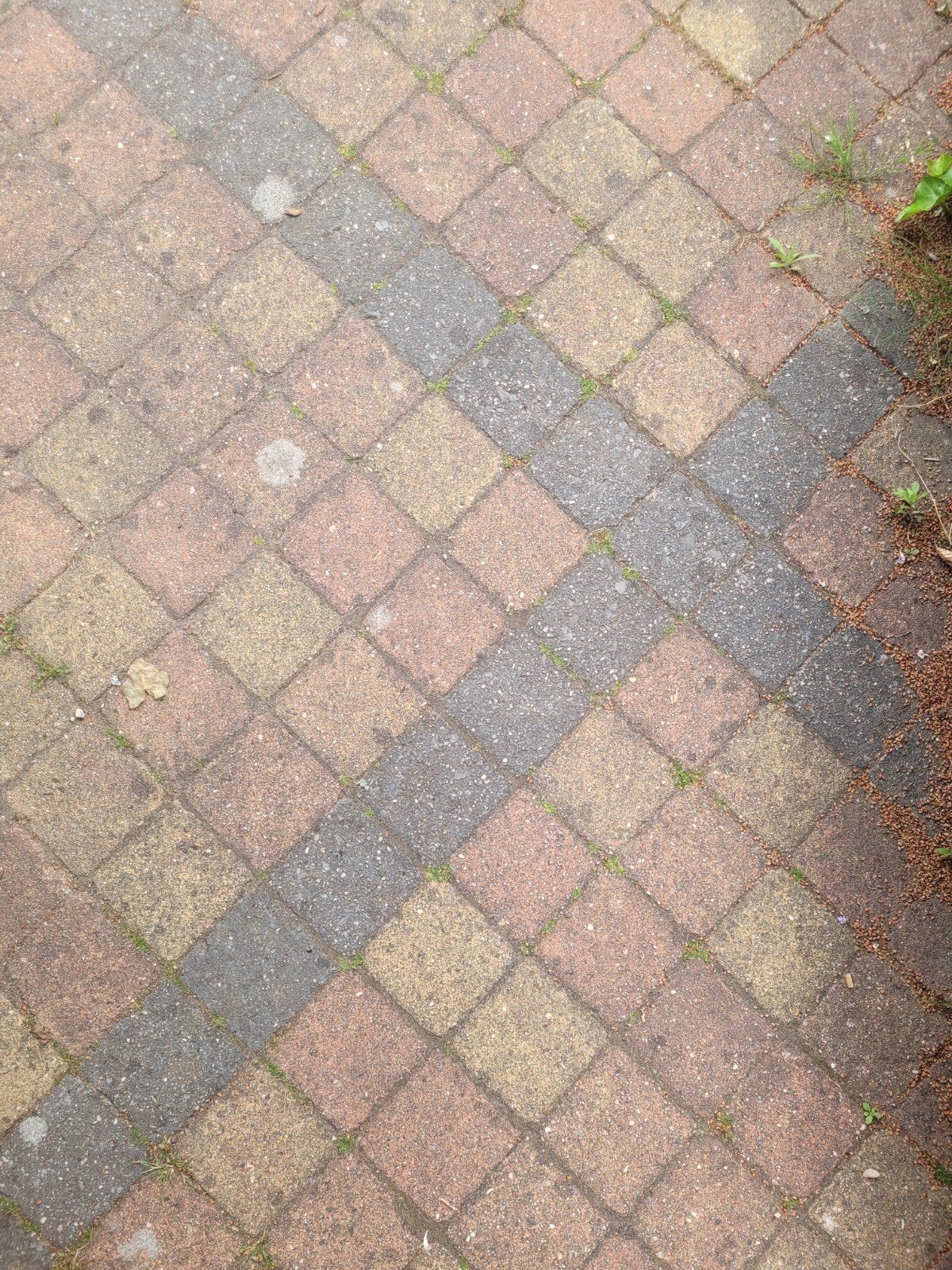 Gratis terrastegels 14x14x6cm - Ideaal voor moestuin, Ophalen, Gebruikt, Beton, Terrastegels