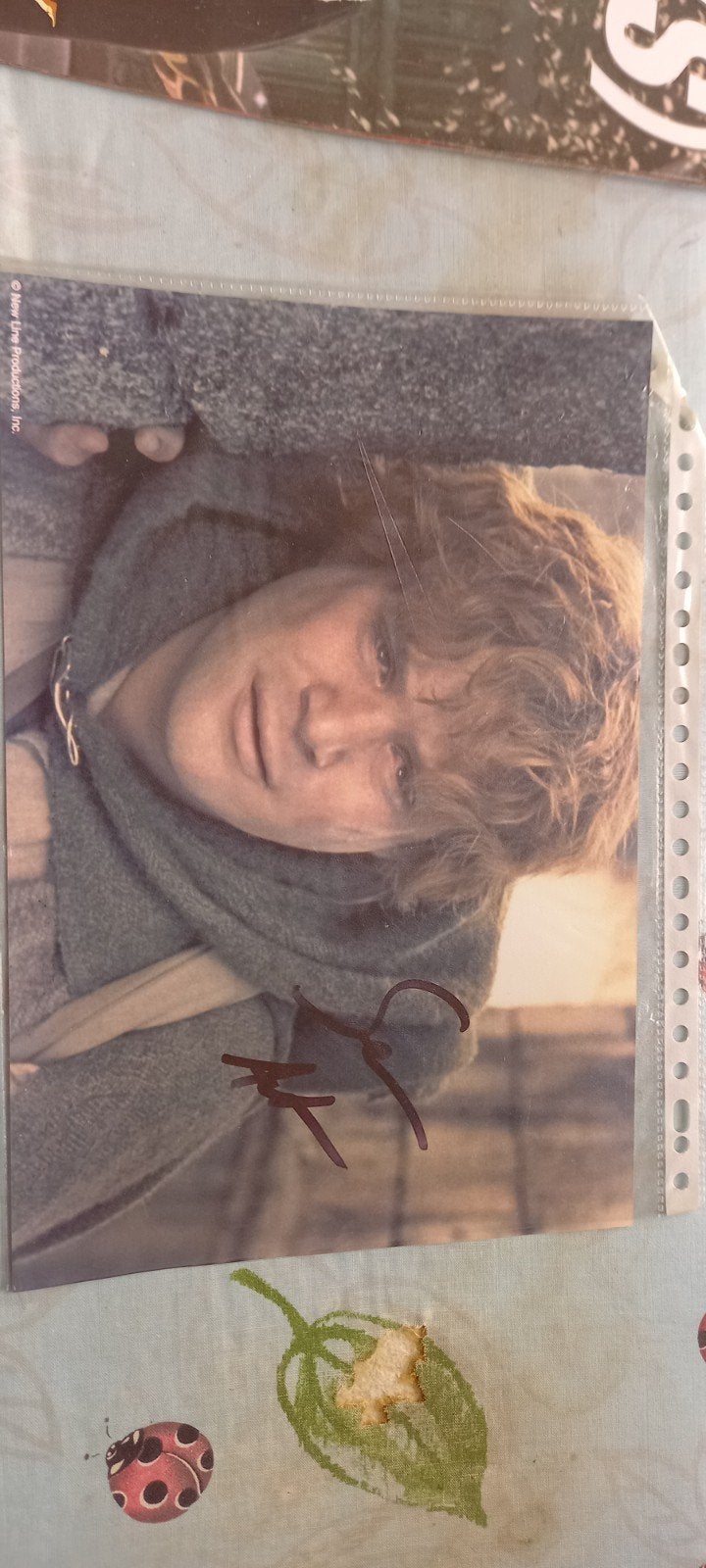 Foto van Sam Gamgee, met originele handtekening LOTR, Ophalen of Verzenden