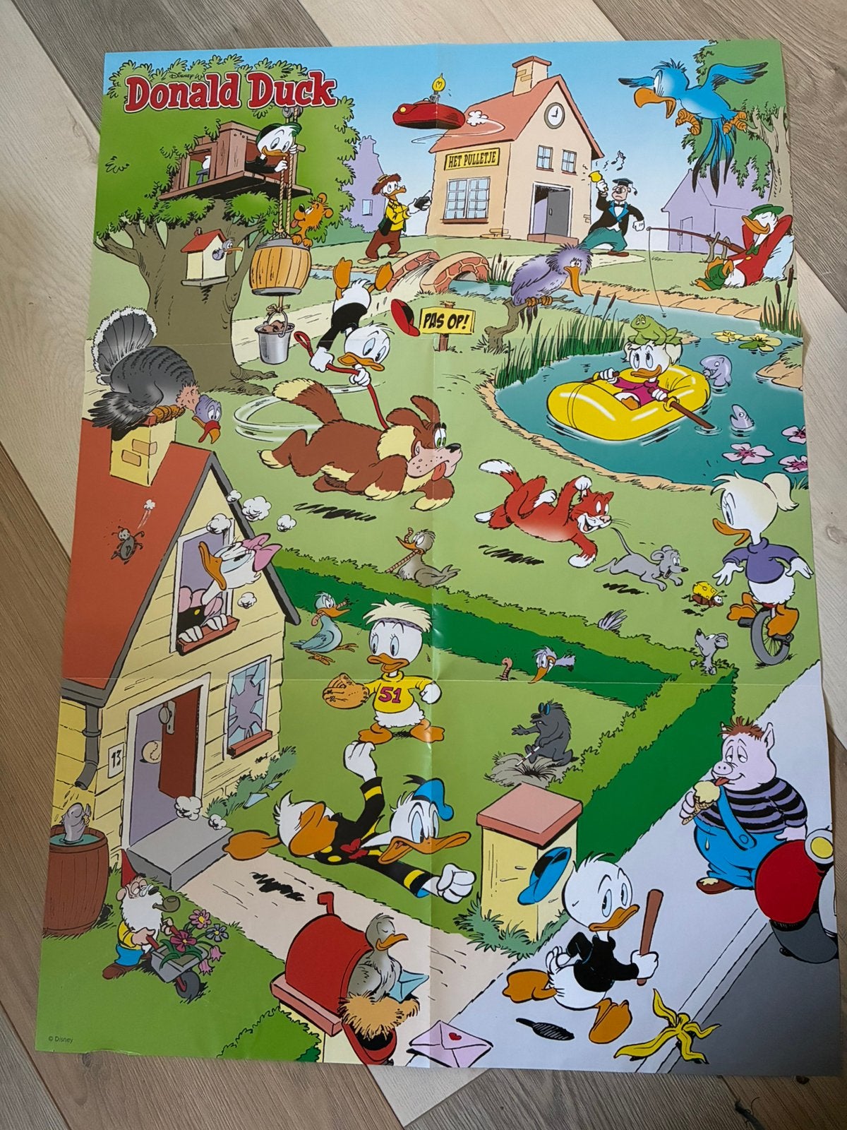 Mooie grappige poster van Donald Duck - ongebruikt, Rechthoekig Staand, Nieuw, Ophalen of Verzenden, A1 t/m A3