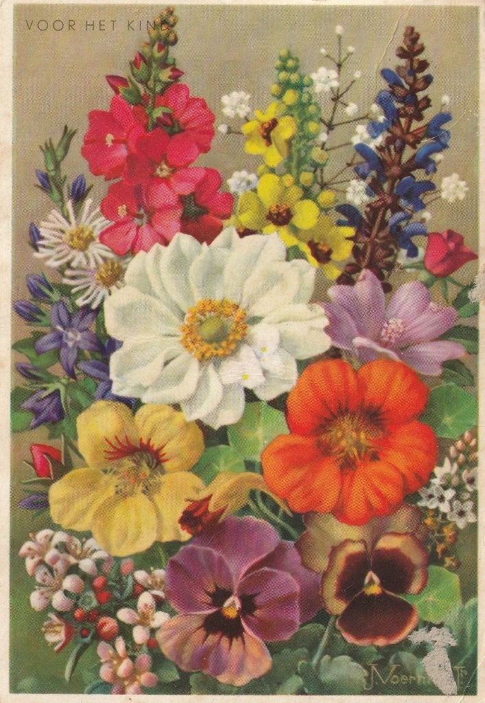 BLOEM TEKN J VOERMAN JAREN 60 MOOIE OUDE KAART KN960, Verzamelen, Ansichtkaarten | Themakaarten, Ophalen of Verzenden, 1960 tot 1980