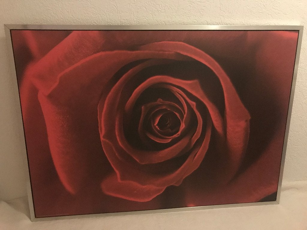 Schilderij Roos 25 euro. Afmetingen 1.00-1.40, Ophalen