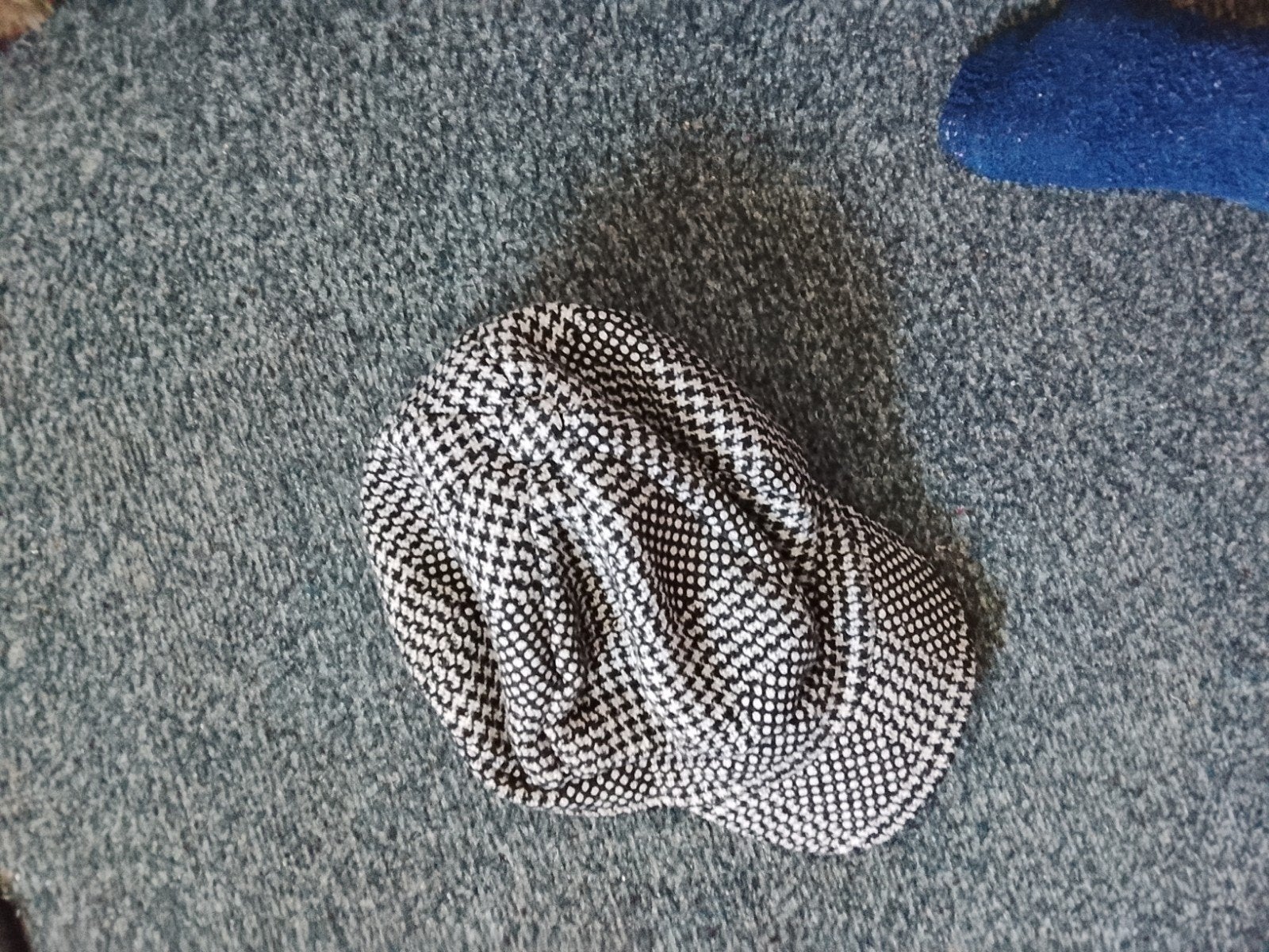 Leuke pet, Ophalen, Zo goed als nieuw, One size fits all