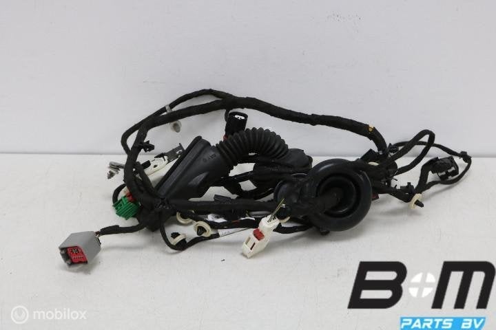 Kabelboom deur rechtsvoor Opel Insignia 39110813, Auto-onderdelen, Gebruikt