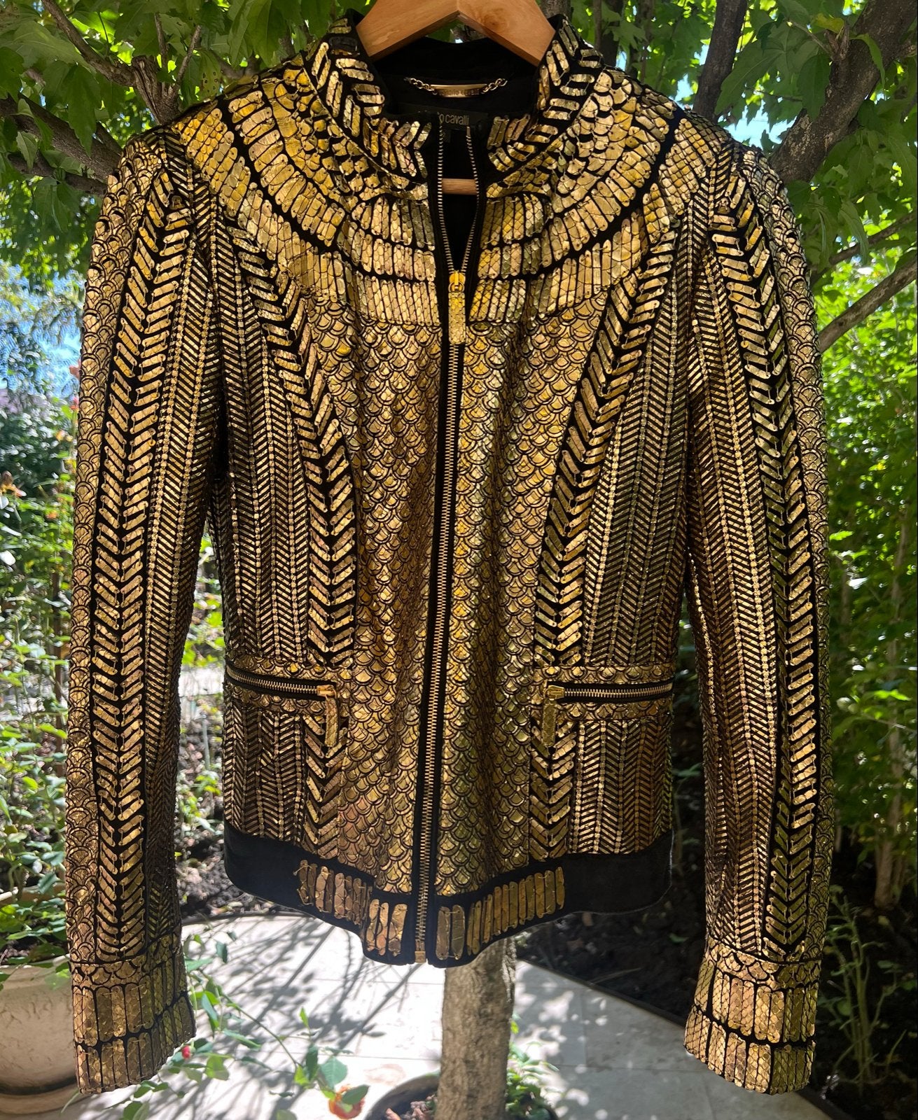 Roberto Cavalli It 42 golden Python jacket, Ophalen of Verzenden, Zo goed als nieuw, Maat 42/44 (L), Goud