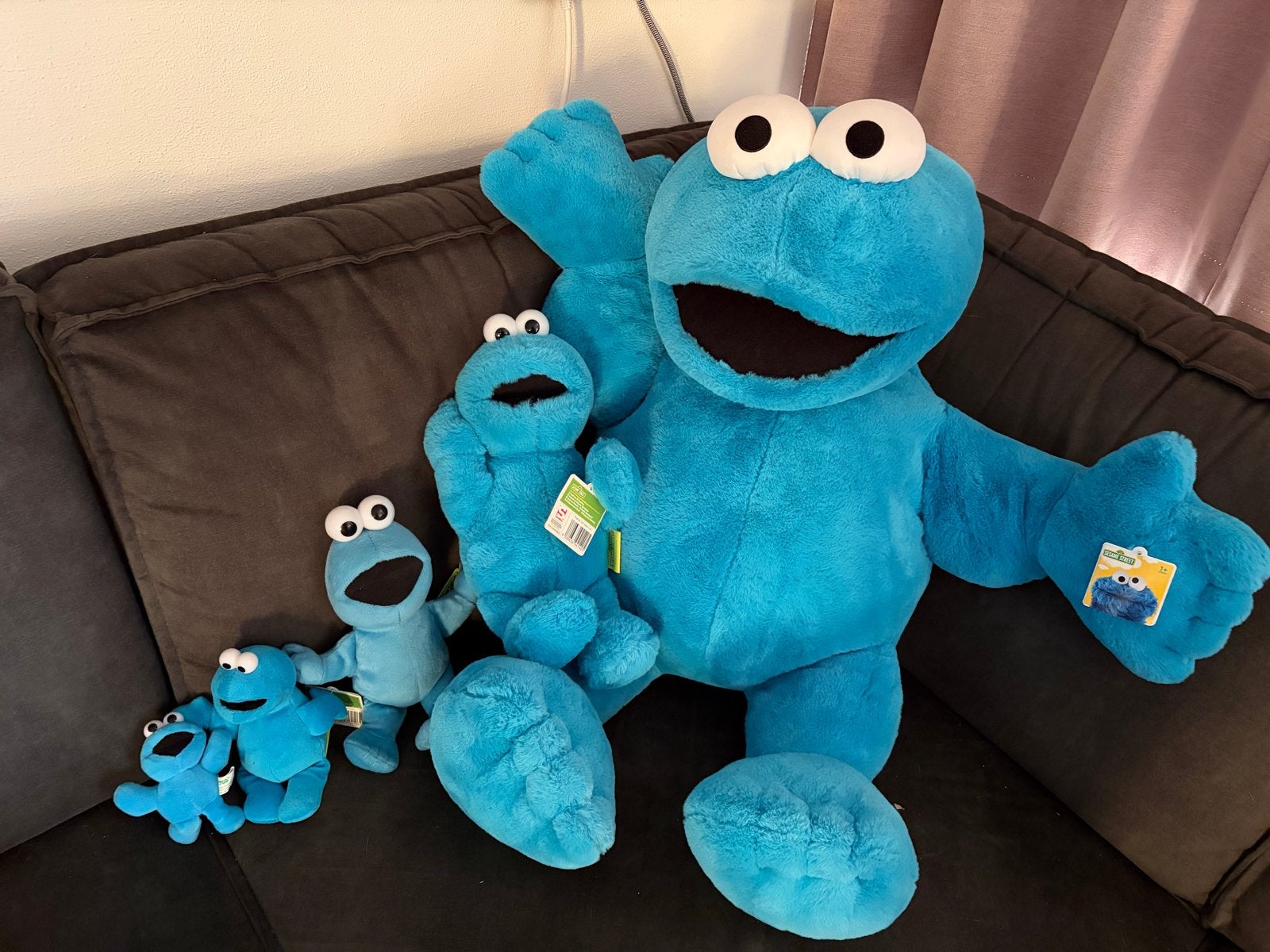 Koekiemonster Knuffels in Diverse Maten - Sesamstraat, Kinderen en Baby's, Speelgoed | Knuffels en Pluche, Ophalen, Overige merken