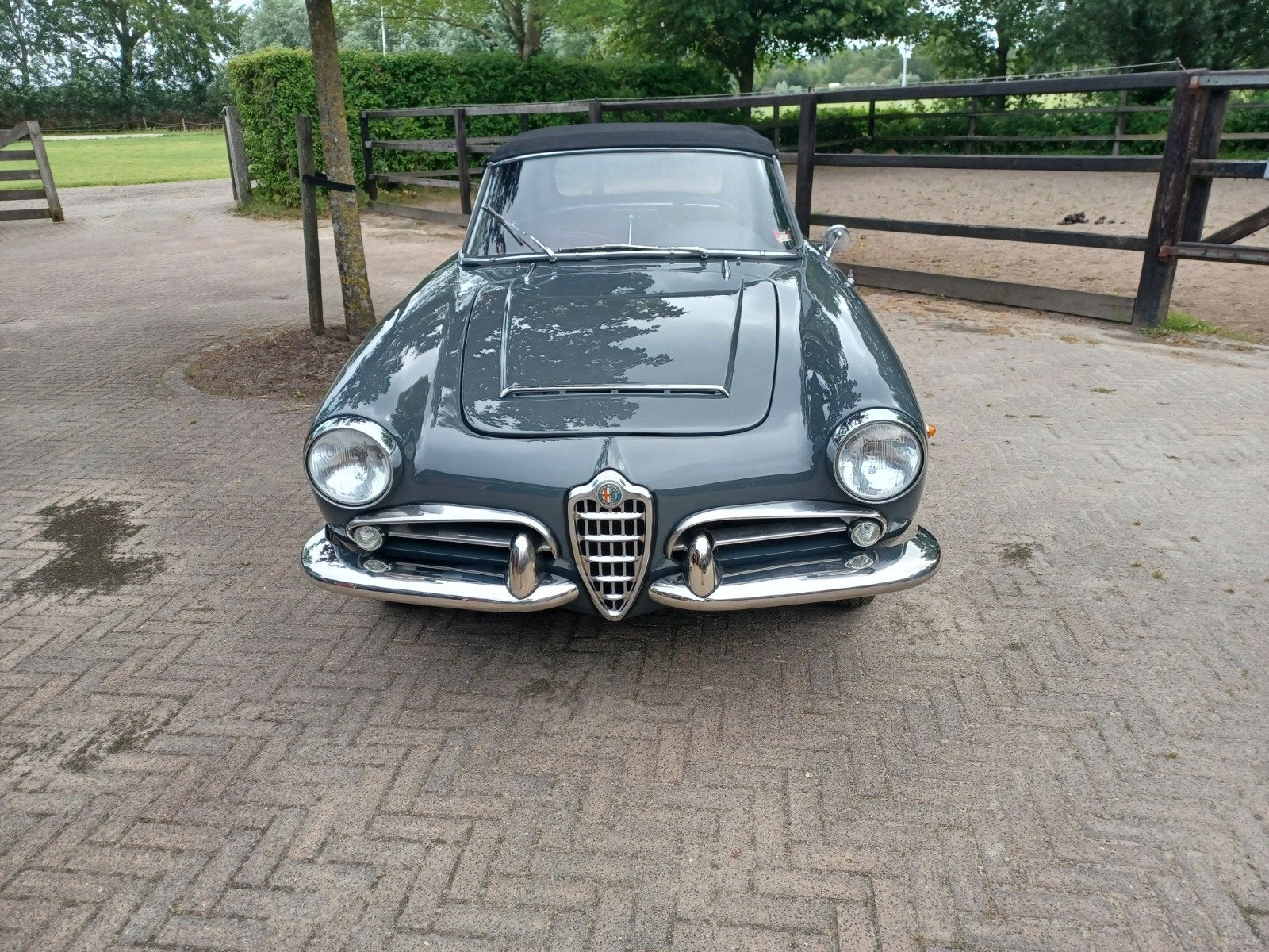 Alfa Romeo Giulia spider 1600 1962 Grijs incl. hardtop, foto 2